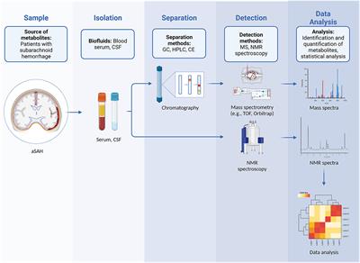 Metabolomics as a potential tool for monitoring patients with aneurysmal subarachnoid hemorrhage